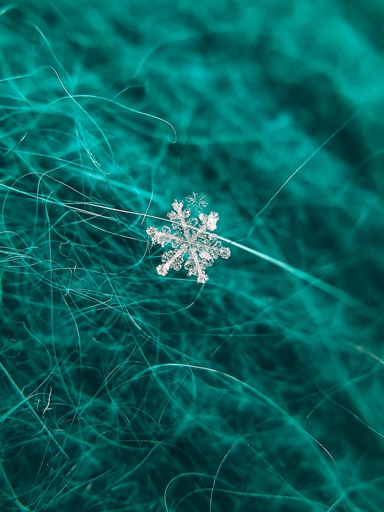 Photograph by Анна Зенкина