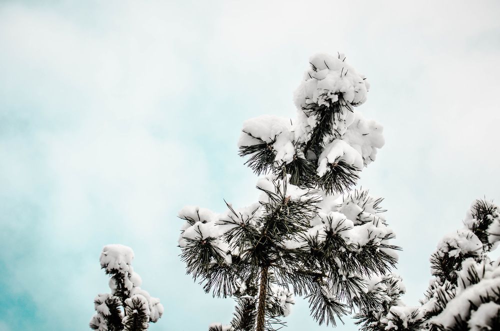 Photograph by Рафаэль Грузнов