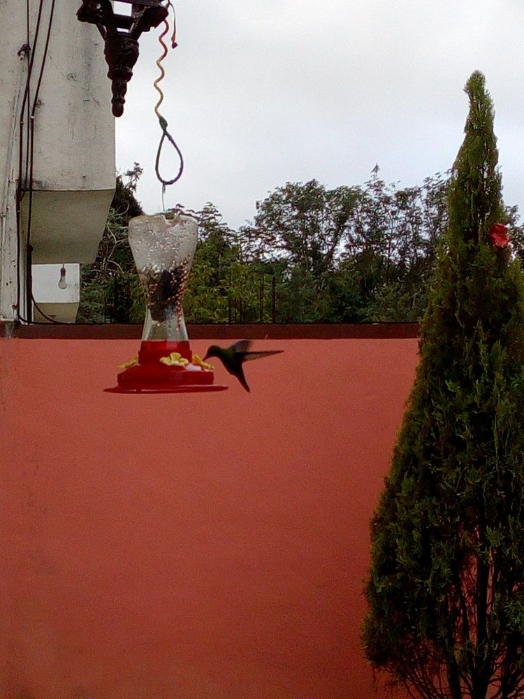 Фотография автора Orlando Silvio Silvera Hernández