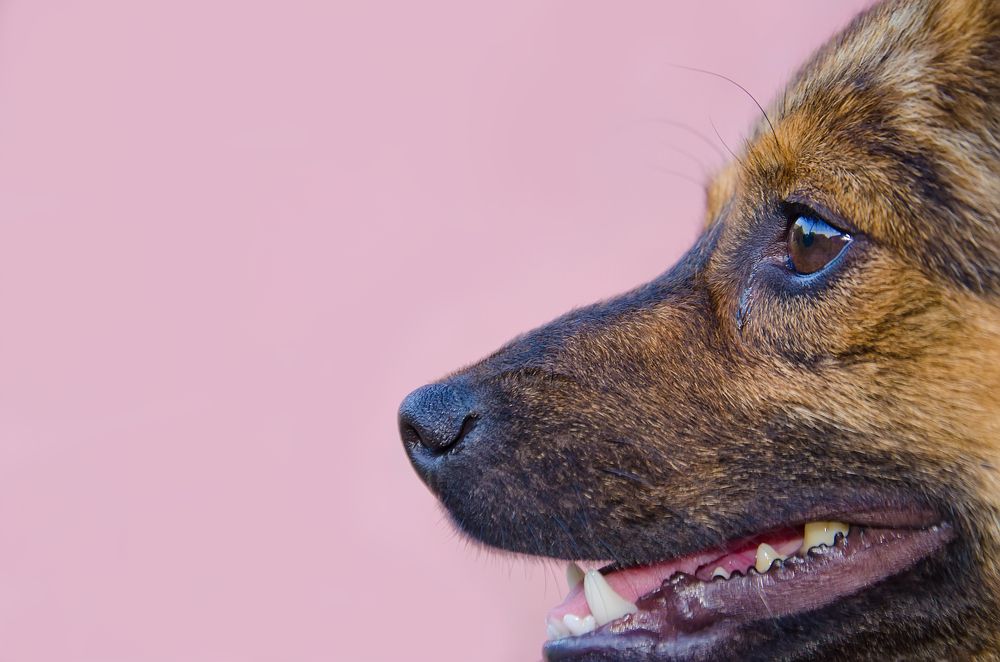 Photograph by Наталия Иванова