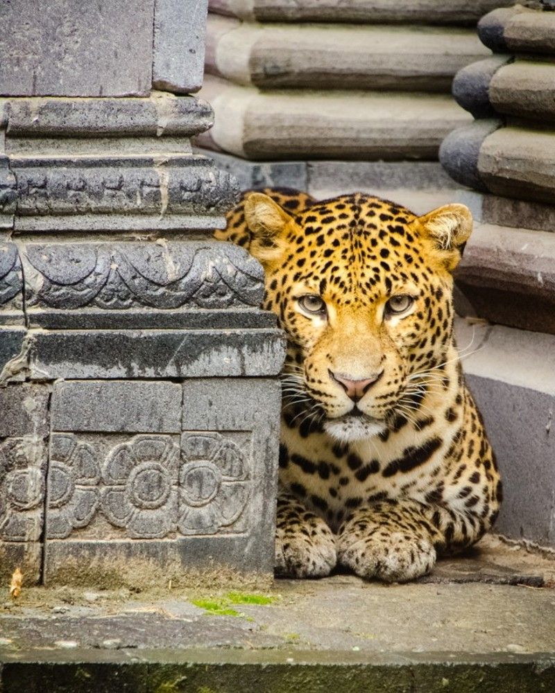 Фотография автора James Poulson