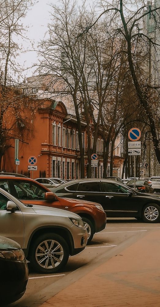 Фотография автора Светлана Остренко