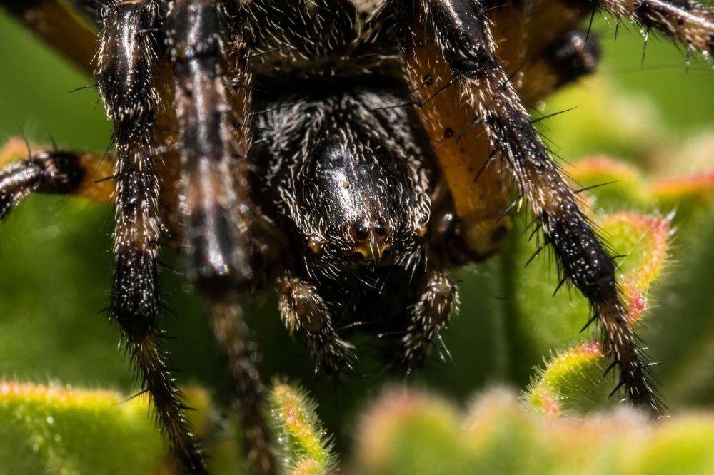 Фотография автора Jose Marcos Carvajal Tarazona