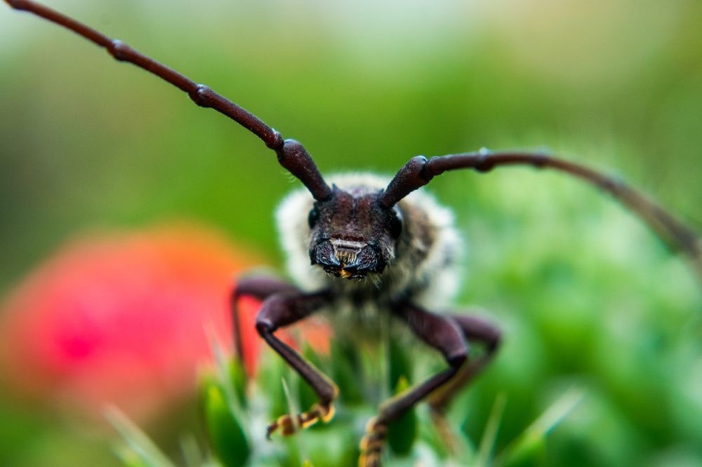 Фотография автора Jose Marcos Carvajal Tarazona