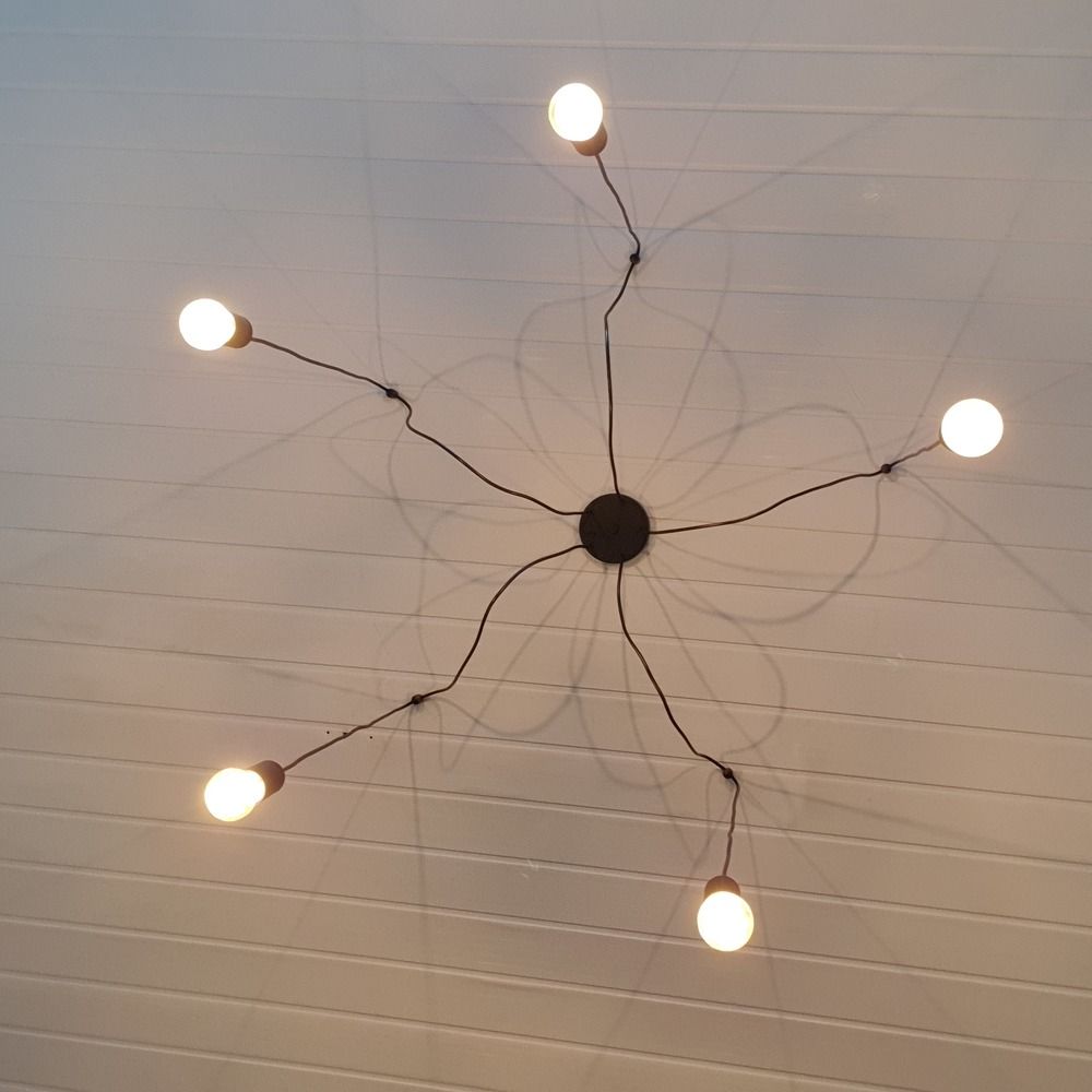 Photograph by Dâmaris Ferrão