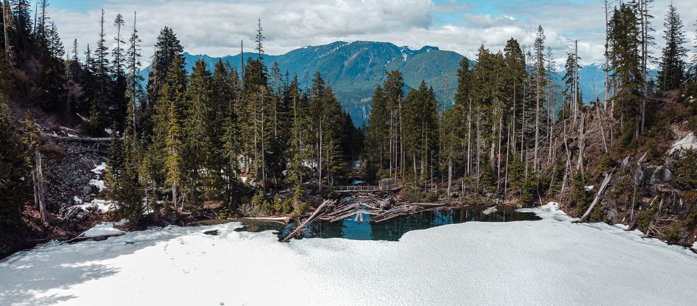 Фотография автора Михаил Боряк