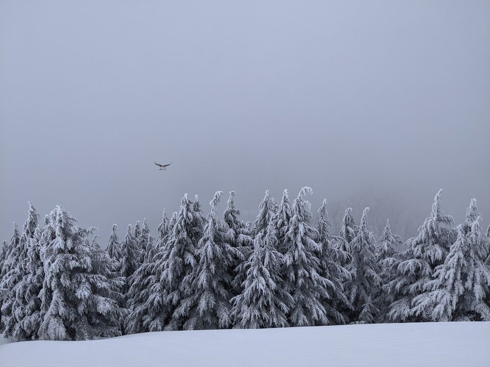 Фотография автора Михаил Боряк