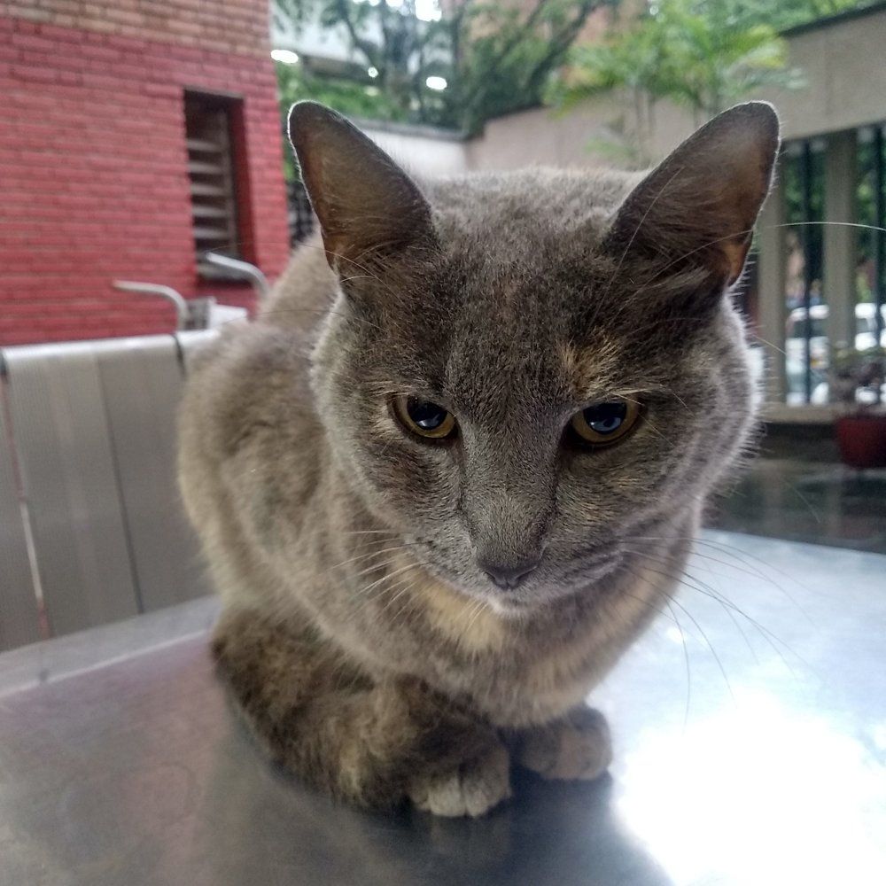 Photograph by Juan David Cabrera Betancourth