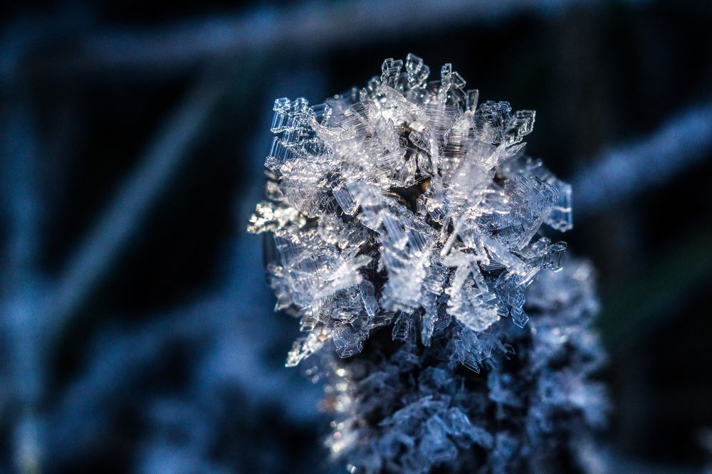 Ледяные кристаллы.