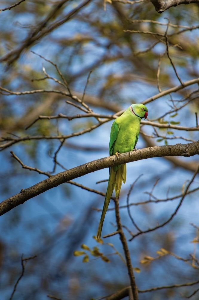 Photograph by Sumit Singh