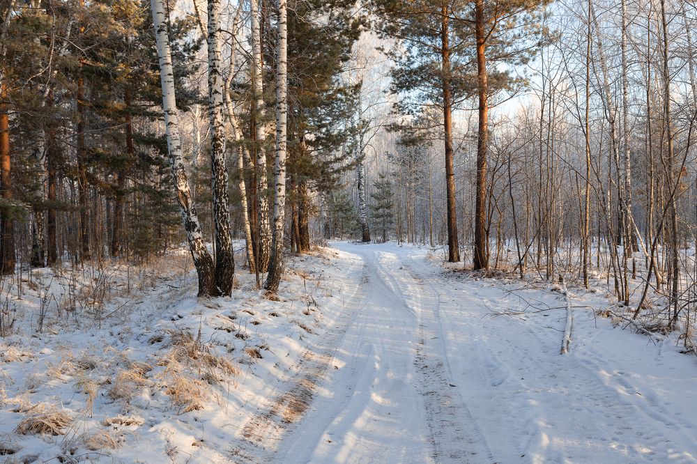 Фотография автора  Гобова Наталья