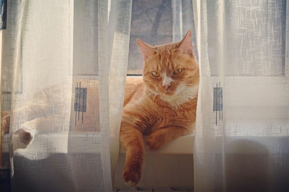 Photograph by Светлана Титова