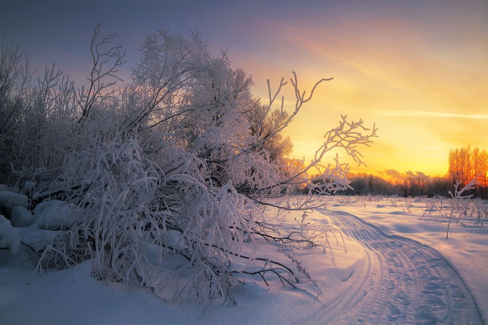 Photograph by Смольский Евгений