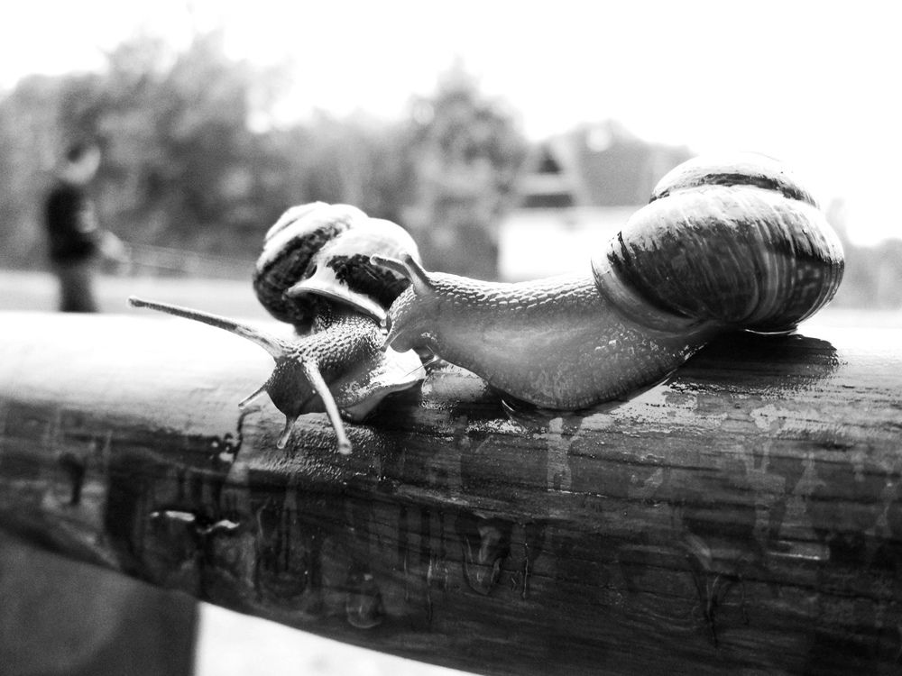 Photograph by Ольга Вячеславовна