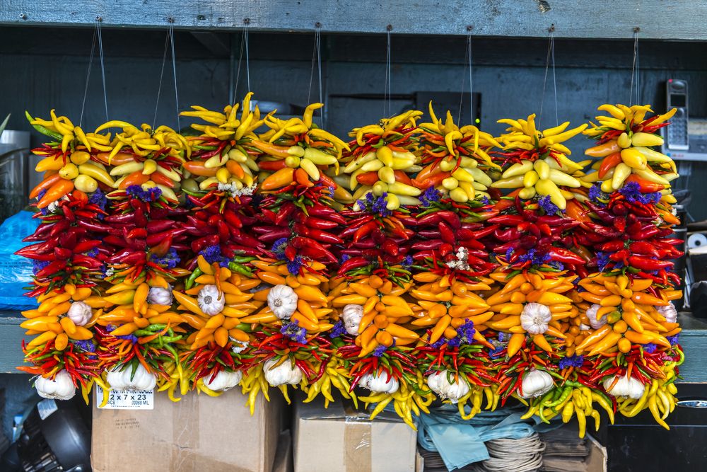 Photograph by PRASHANT VAIDYA