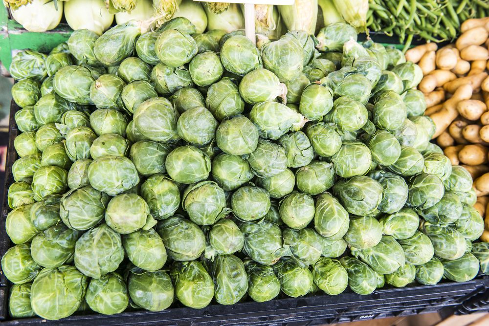 Photograph by PRASHANT VAIDYA