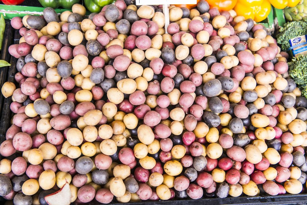 Photograph by PRASHANT VAIDYA