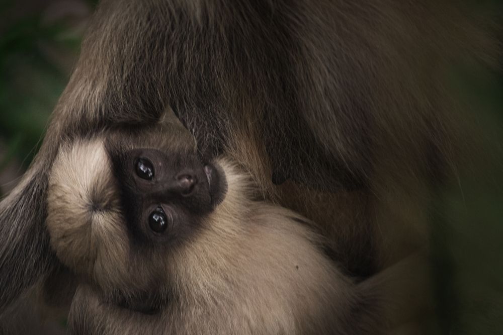 Фотография автора Navedkhan Pathan