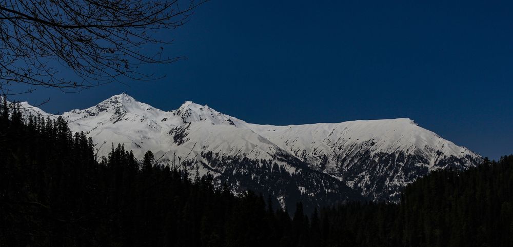 Photograph by Rohit Mohanty