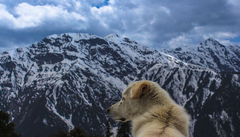 Photograph by Rohit Mohanty