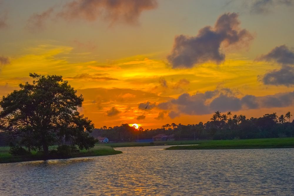 Photograph by Mayura Kirikaran