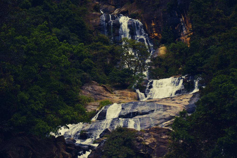 Photograph by Mayura Kirikaran