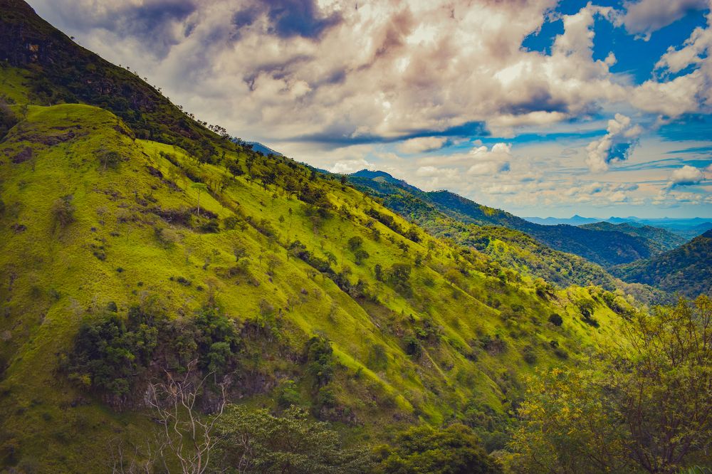 Photograph by Mayura Kirikaran