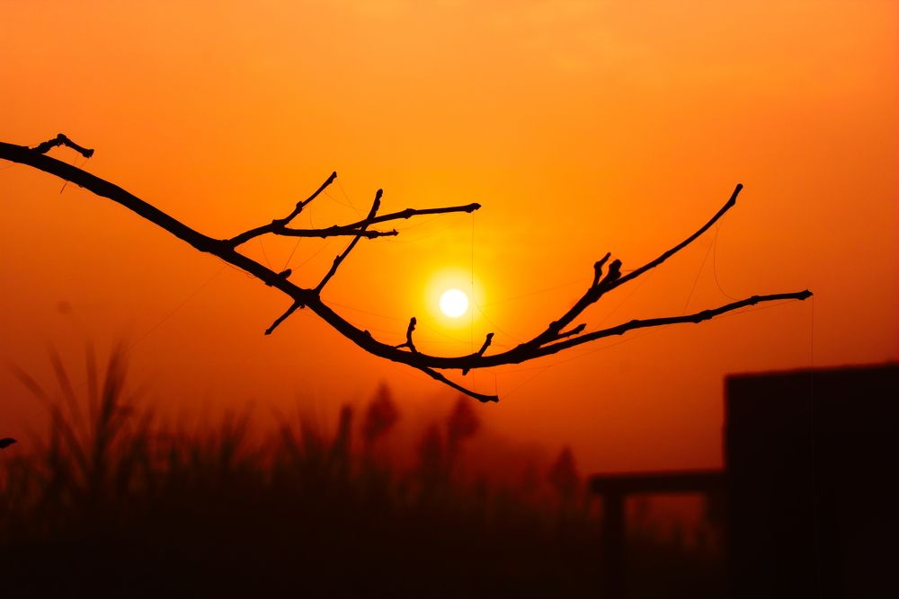 Sunrise the Eye of Nature.