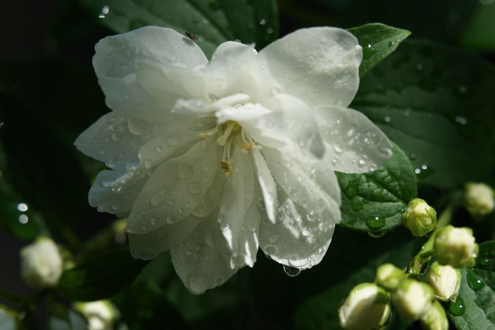 Photograph by Алексей Прохоров