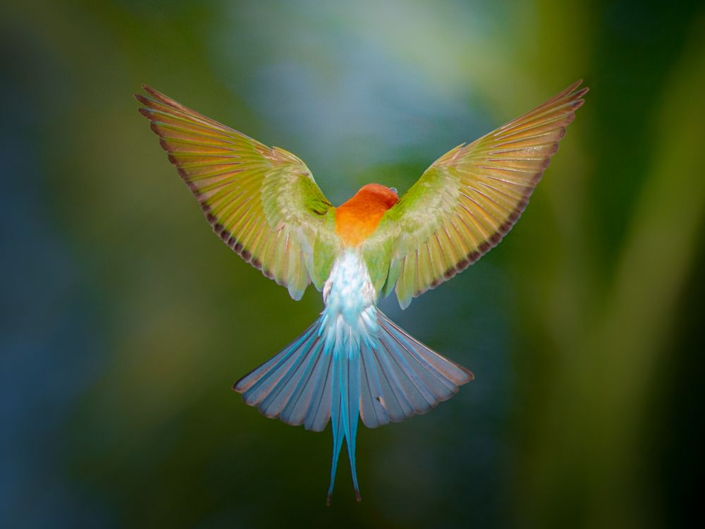 Photograph by Kirkamon Cabello