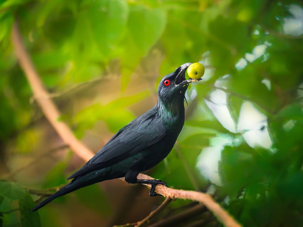 Photograph by Kirkamon Cabello