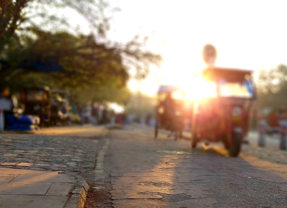 Delhi Mornings