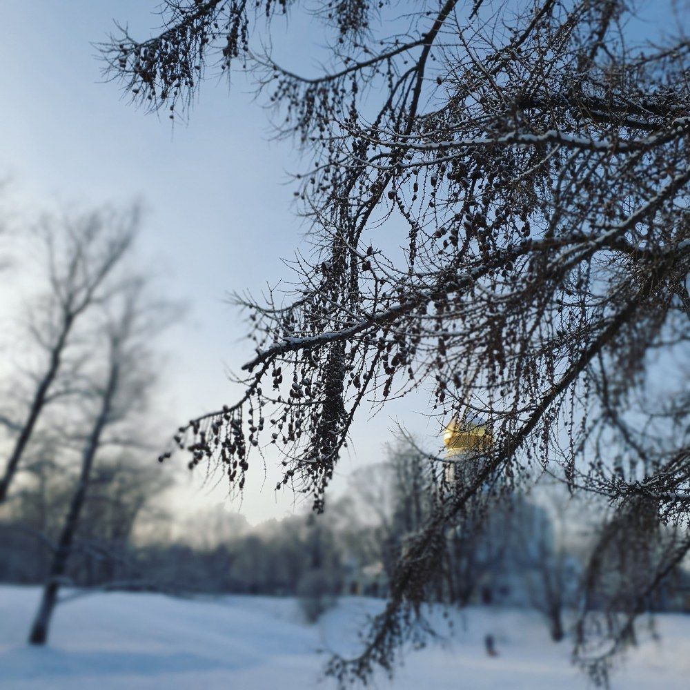 Photograph by Ольга Ташкина