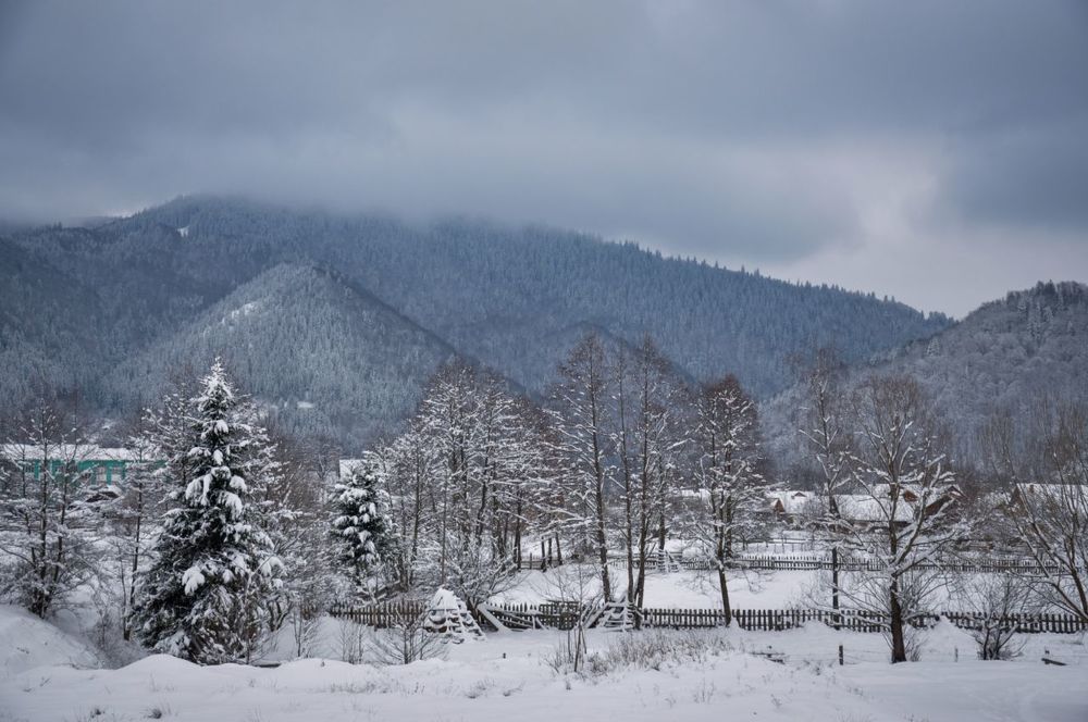 Photograph by Ольга Кудина