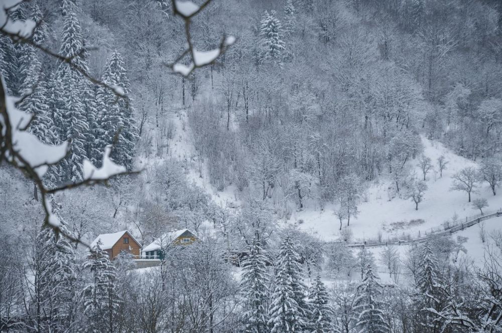 Photograph by Ольга Кудина