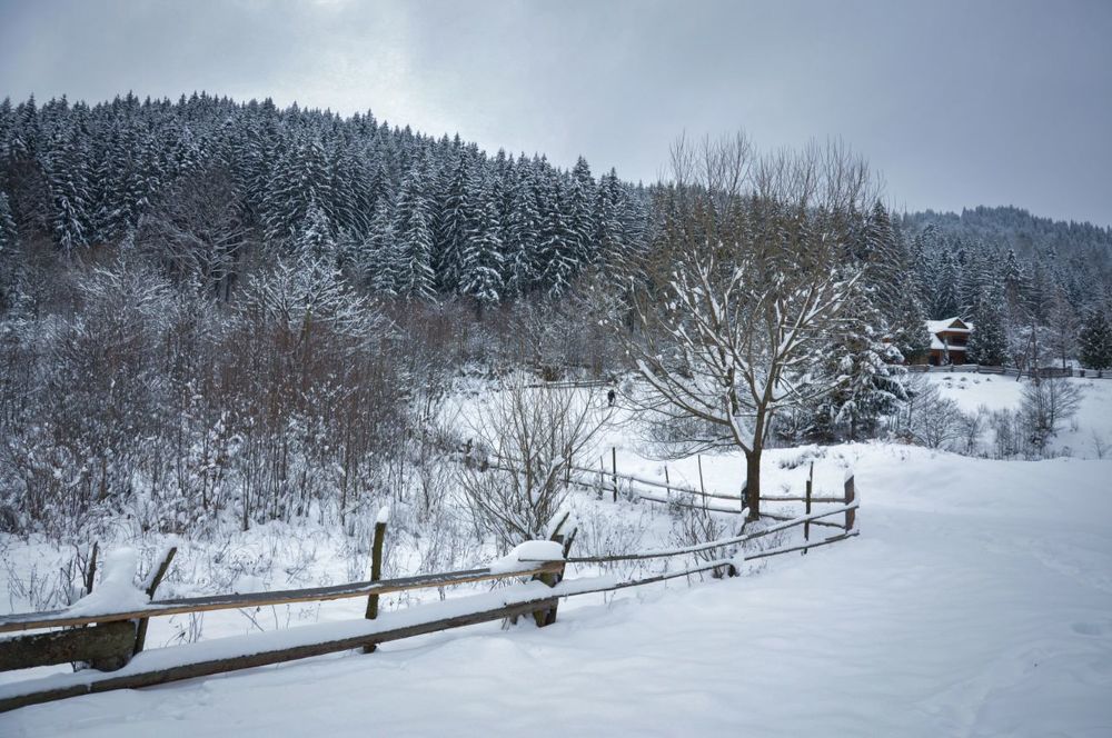 Photograph by Ольга Кудина