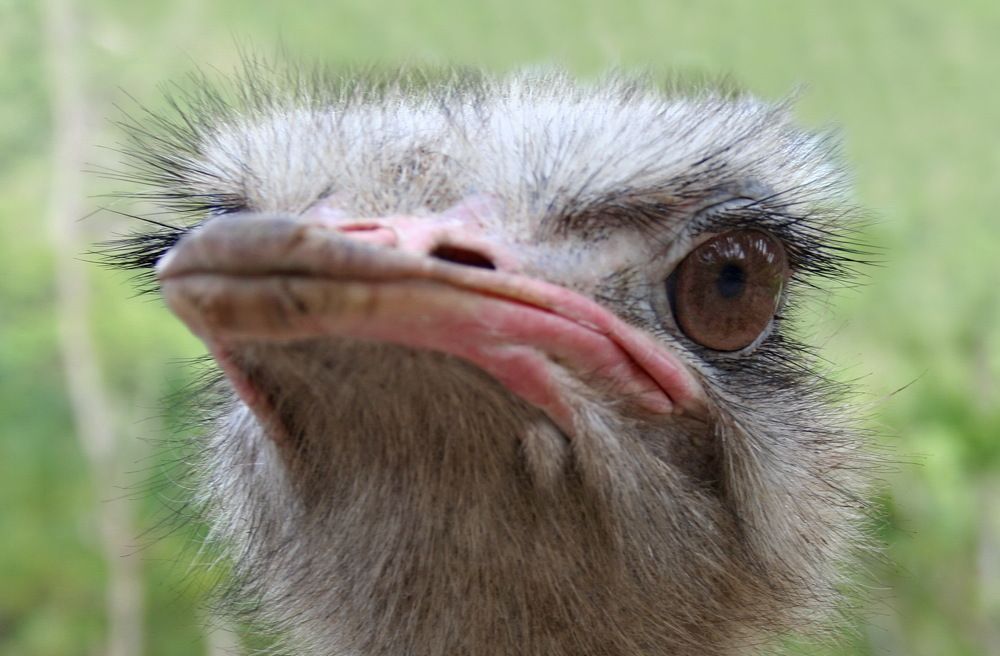 Photograph by вячеслав милов