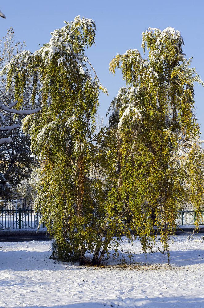 Фотография автора Вячеслав Владимирович
