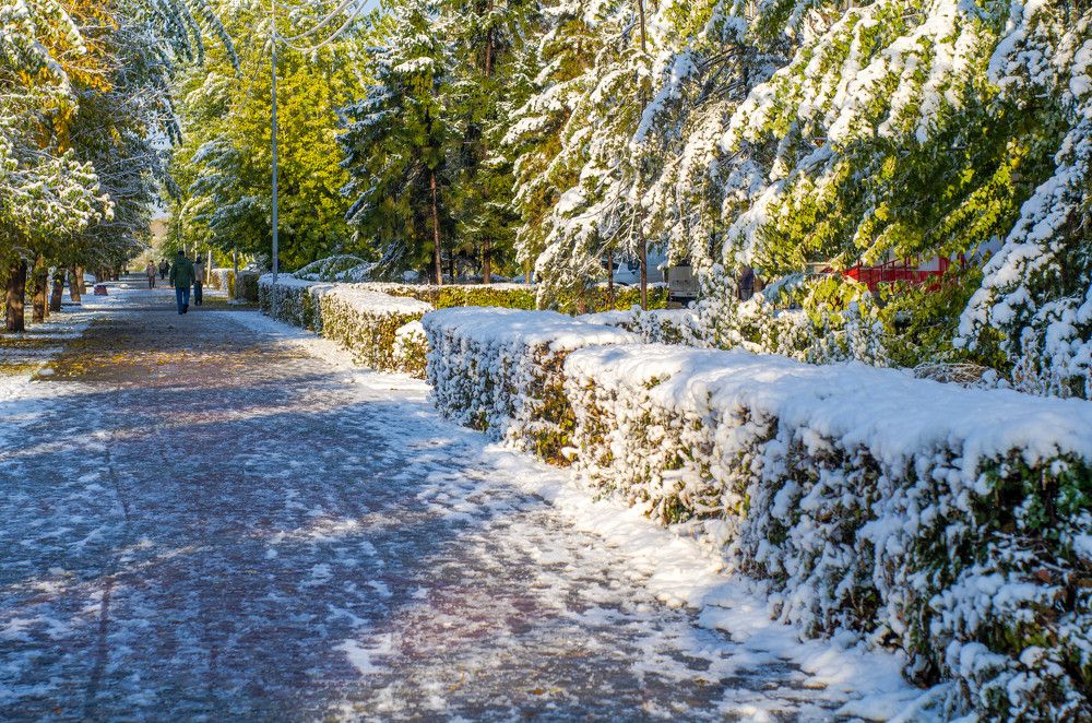 Фотография автора Вячеслав Владимирович