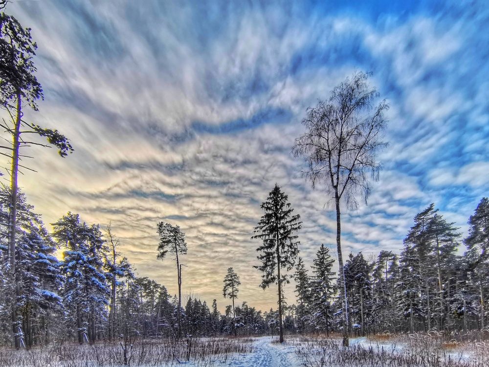 Photograph by Николай