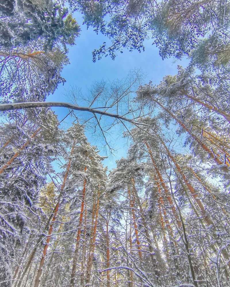 Photograph by Николай