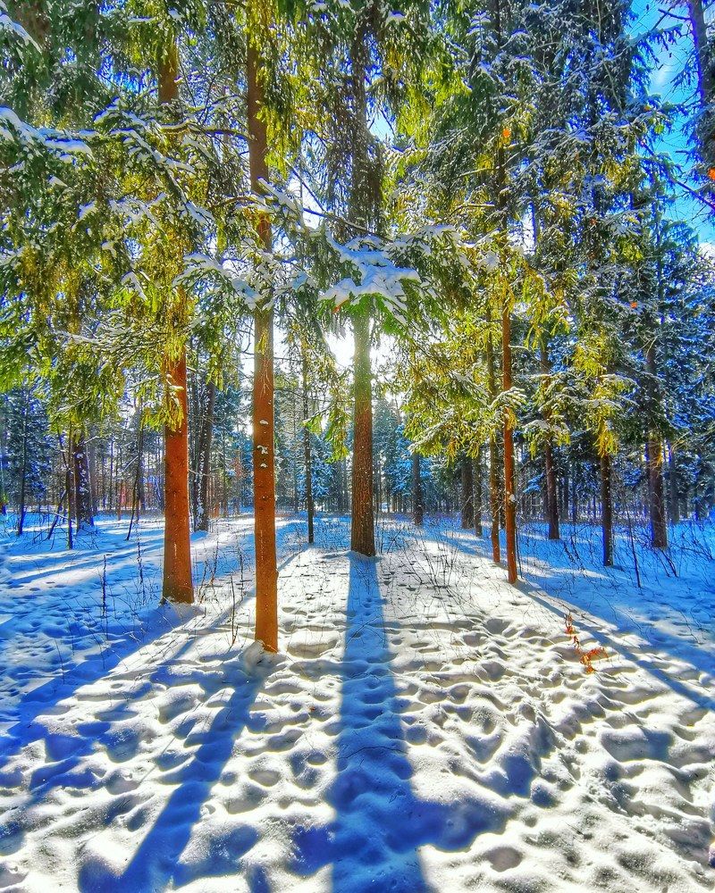 Photograph by Николай