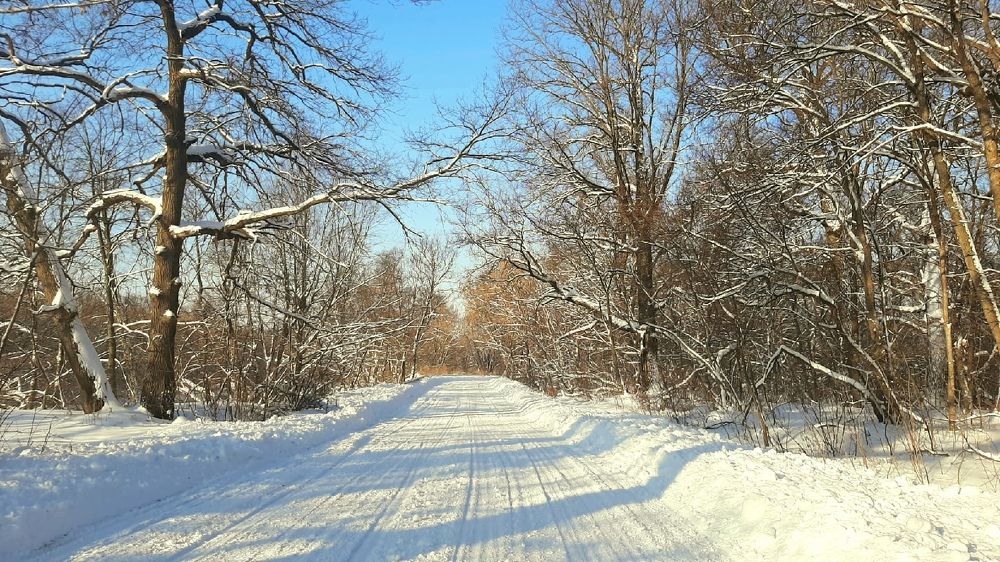 Photograph by Ева