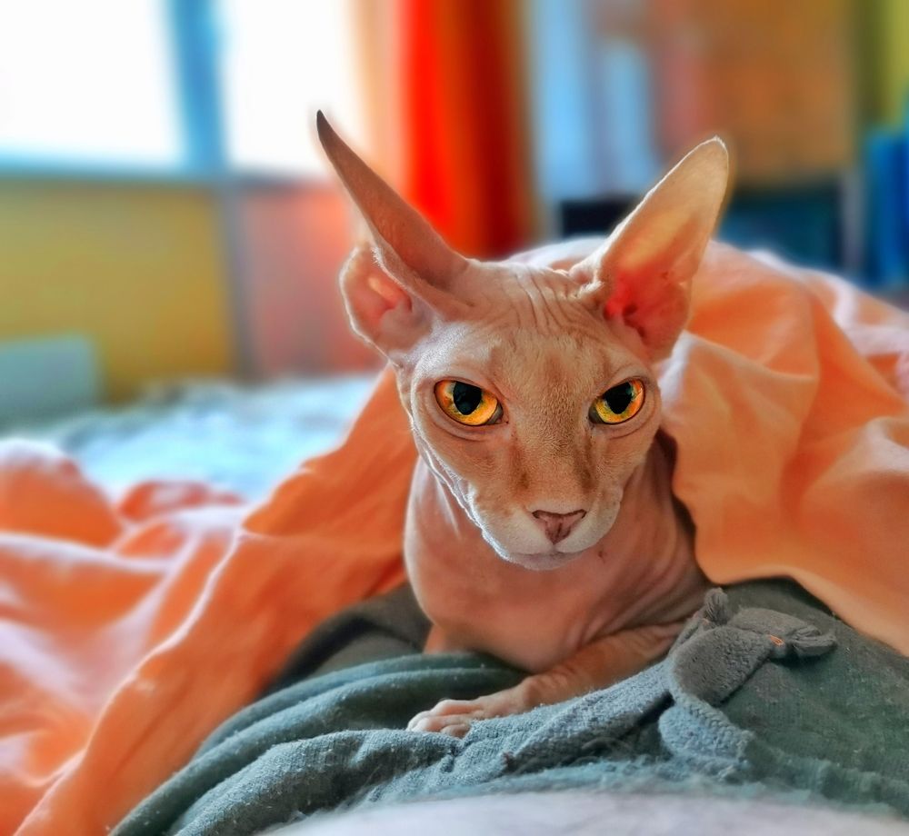 Photograph by Николай