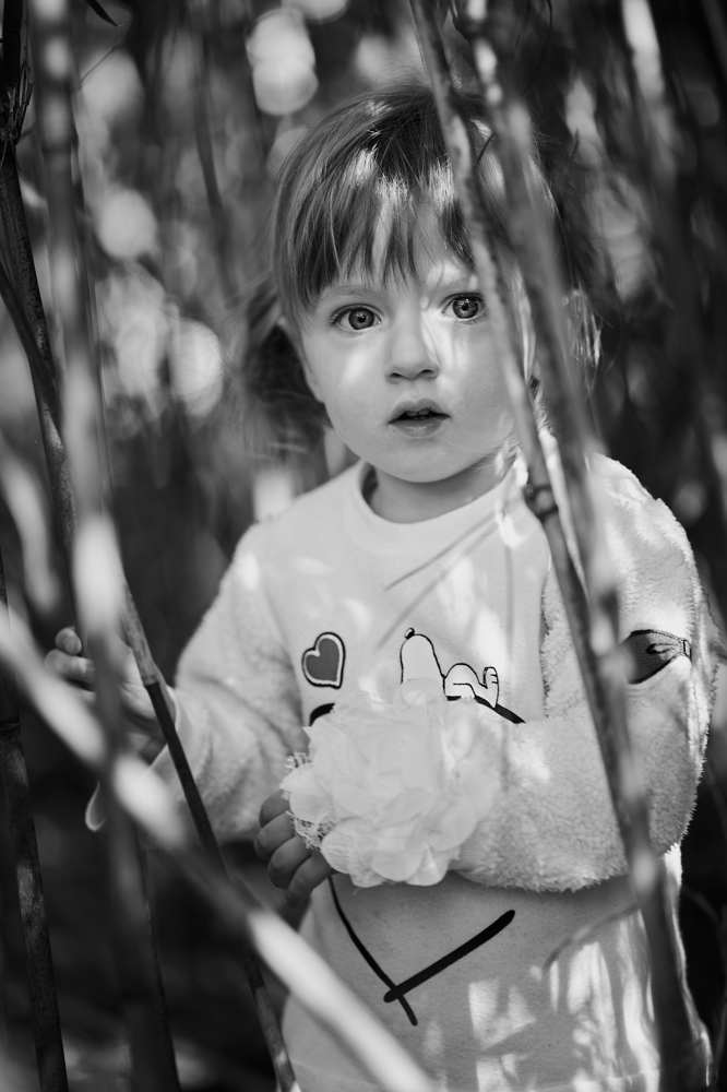 Photograph by Karyakin Anton