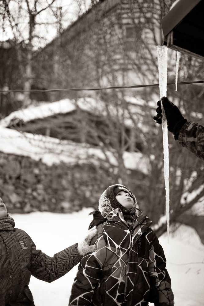 Photograph by Алла Шаленко