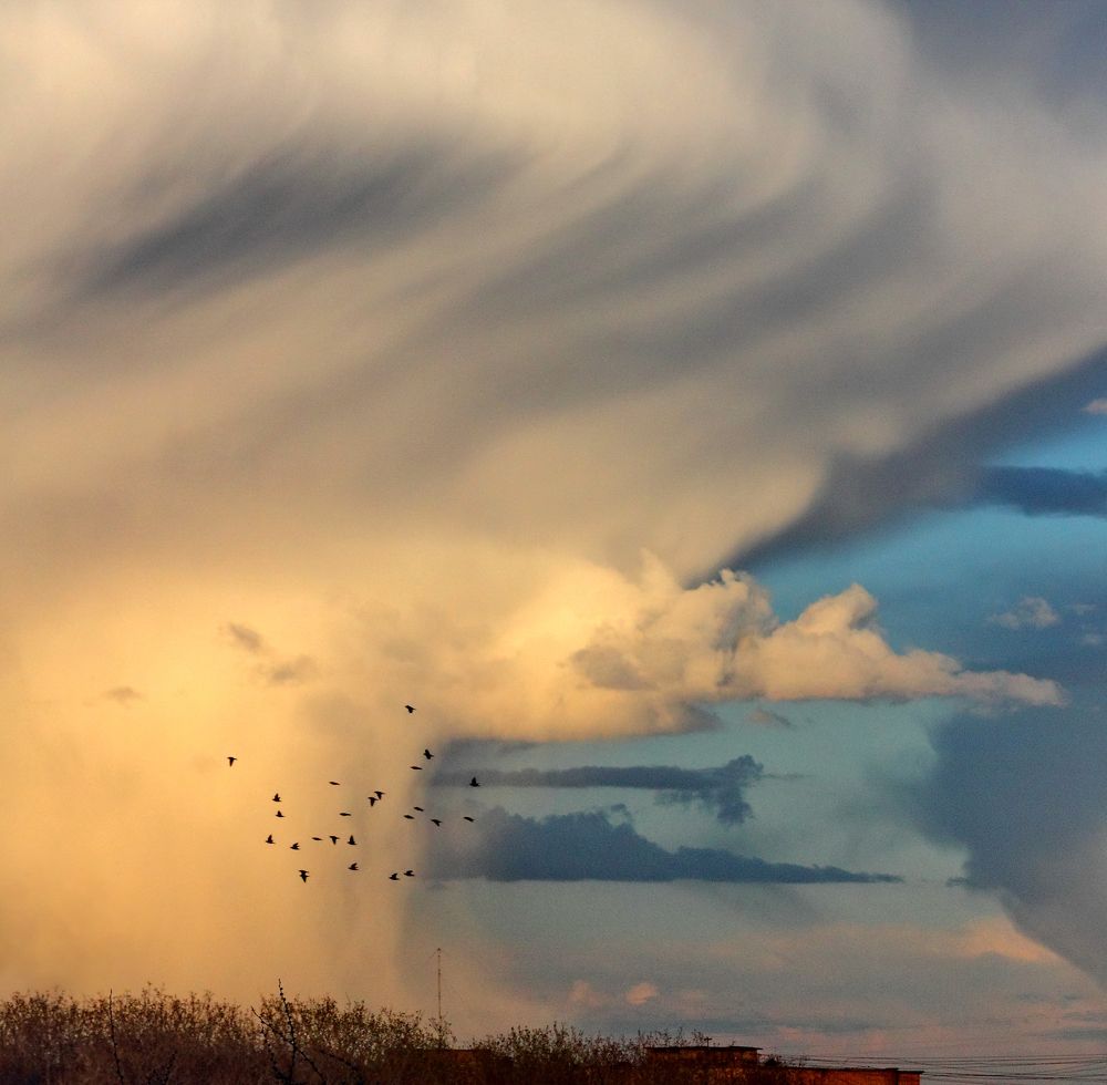 Photograph by Red Pashechka