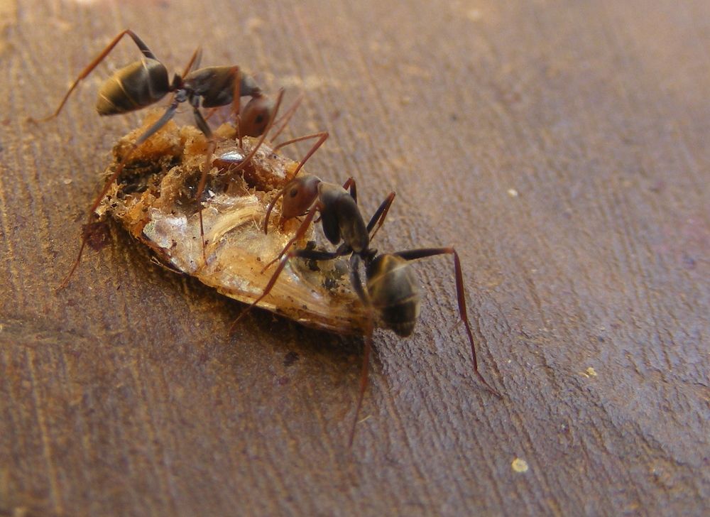 Photograph by Lokuge Sanuth