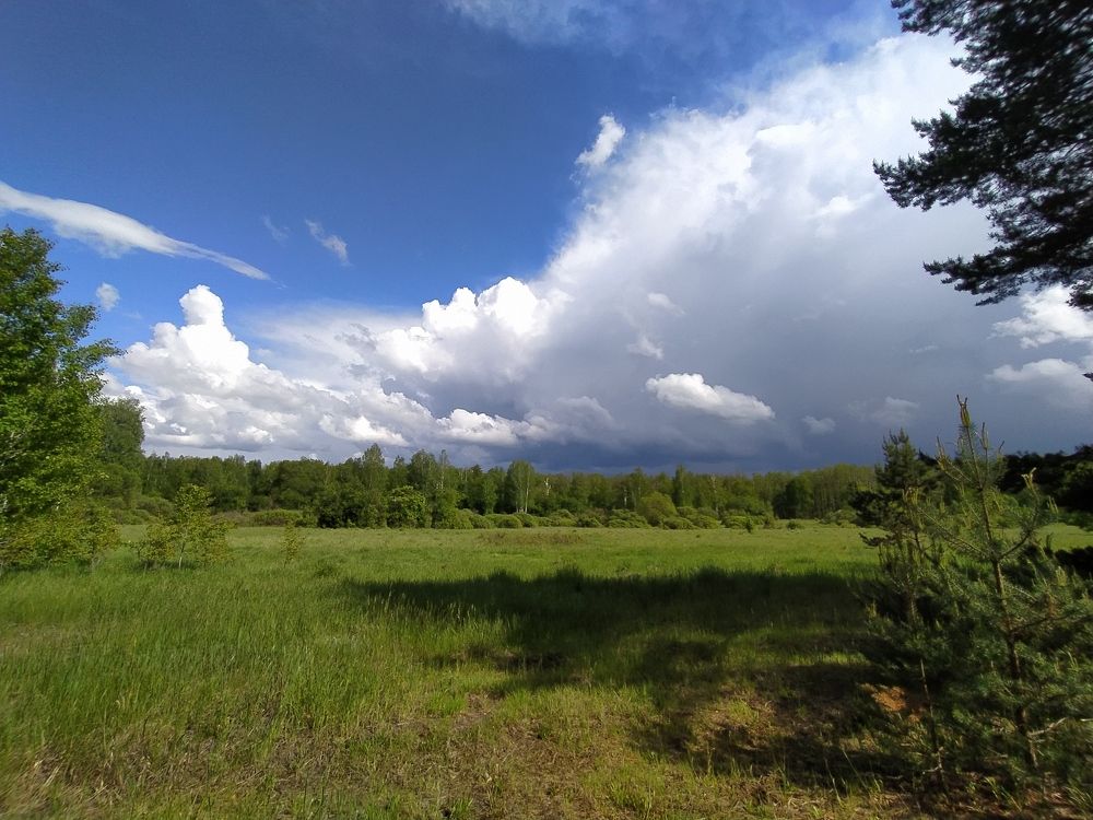 Фотография автора Алексей Самойлов