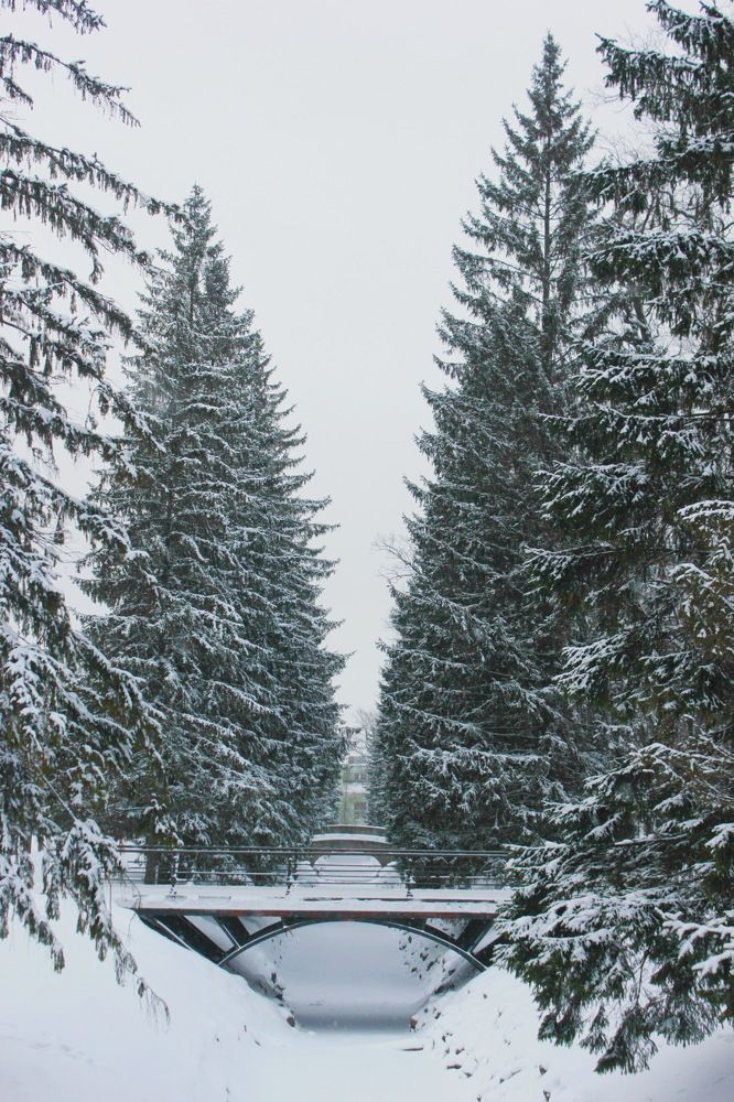 Photograph by Светлана Попкова